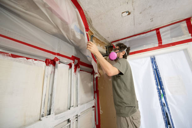 Best Asbestos and Lead Testing During Mold Inspection  in Lavon, TX