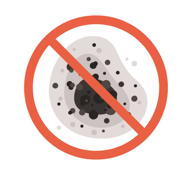 Best Dehumidification Services  in Lavon, TX